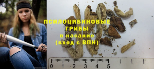 гашик Баксан