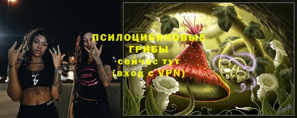 гашик Баксан