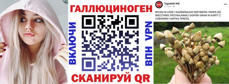 где можно купить наркотик  Бобров  Галлюциногенные грибы прущие грибы 